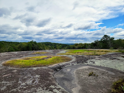 40 Acre Rock Heritage Preserve