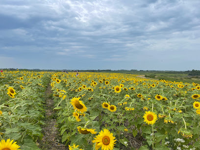 Badger Creek State Recreation Area