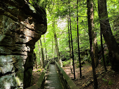 Beartown State Park