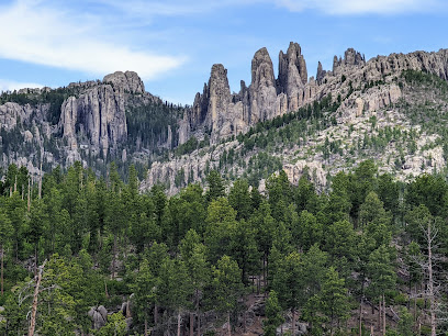 Black Hills National Forest