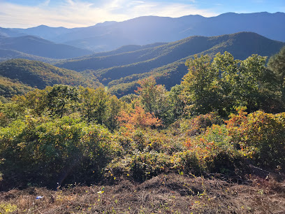 Black Mountains Overlook