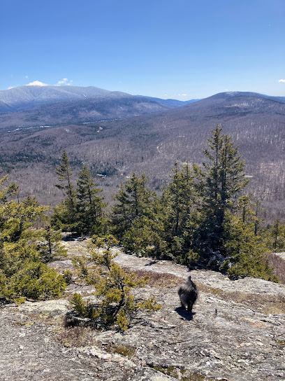 Black Mtn Trailhead