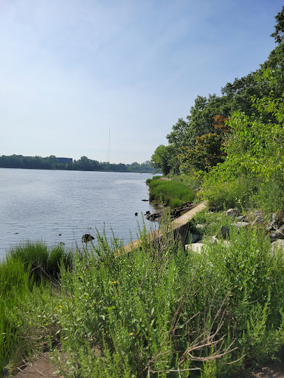 Blackstone Park Conservation District