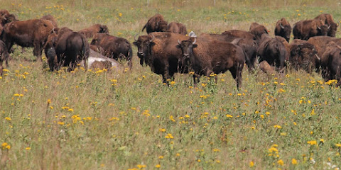 Blue Mounds State Park