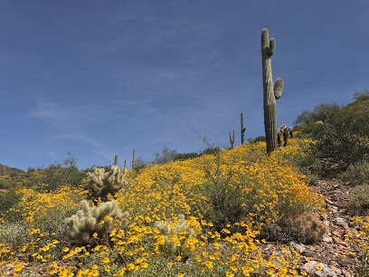 Cave Creek Regional Park