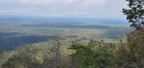 Cheaha Wilderness