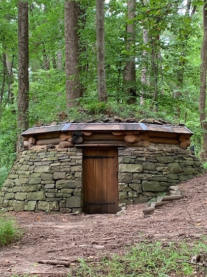 Cloud Chamber for the Trees and Sky