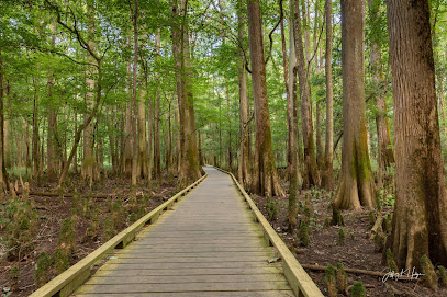 Congaree National Park