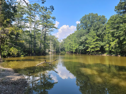 Delta National Forest