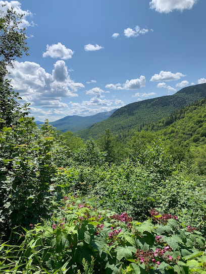 Evans Notch Overlook