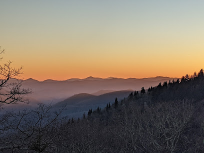 Fetterbush Overlook