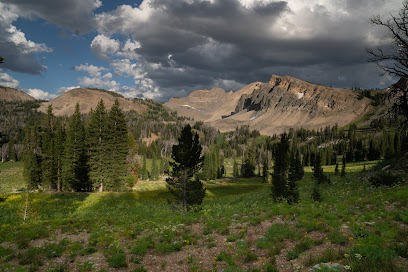 Gros Ventre Wilderness