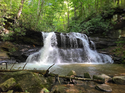 Holly River State Park