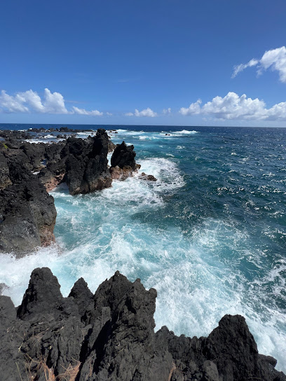 Laupāhoehoe Beach Park