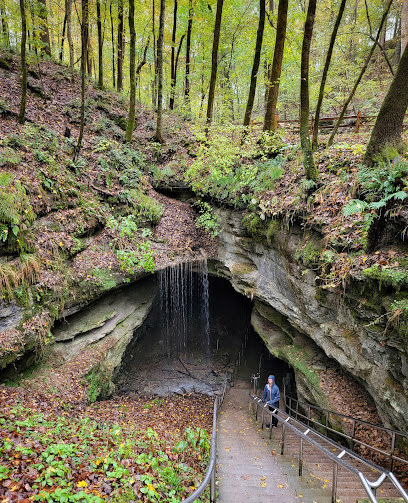 Mammoth Cave National Park