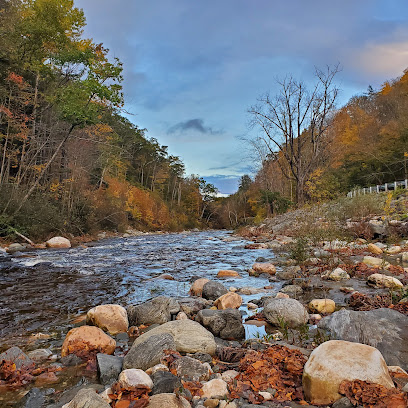 Mohawk Trail State Forest