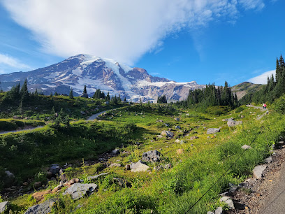 Mount Rainier National Park