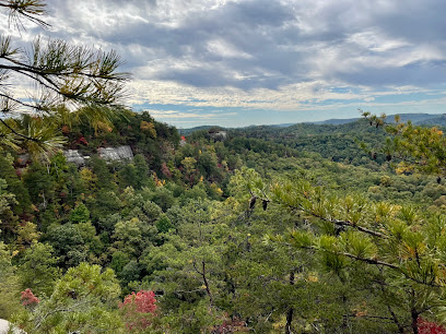 Natural Bridge State Resort Park