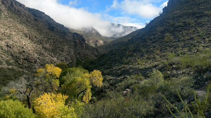 Oliver Lee Memorial State Park