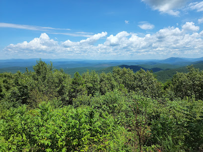 Ouachita National Forest