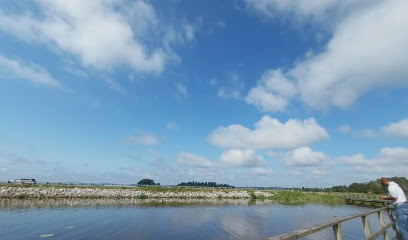 Pearl River Wildlife Management Area