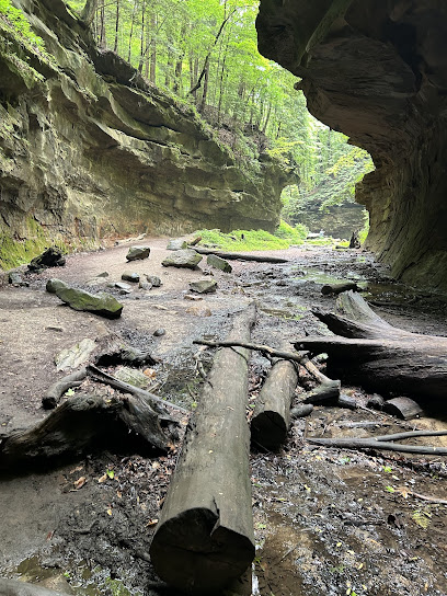 Rocky Hollow Falls Canyon Nature Preserve