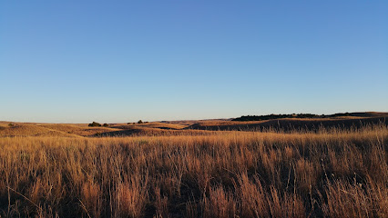 Samuel R. McKelvie National Forest