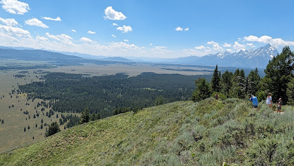 Signal Mountain Summit Road