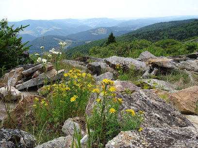 Spruce Knob