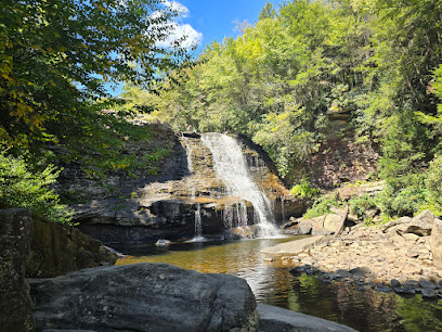 Swallow Falls State Park