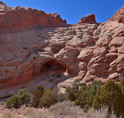 Upper Muley Twist Canyon Trail