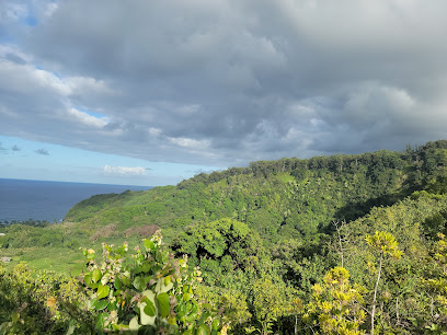 Wailua Valley State Wayside