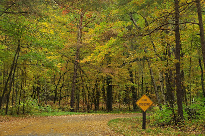 Wild River State Park