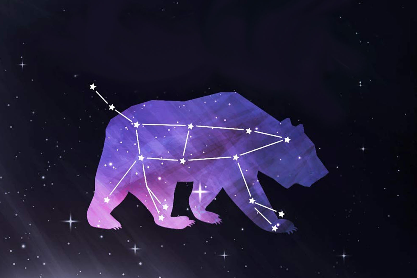 ursa major stars