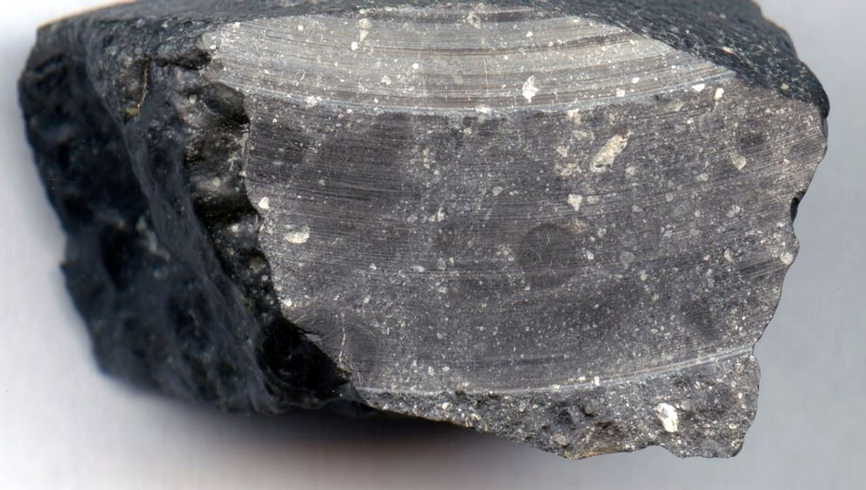 Martian meteorite NWA 7533 that contained evidence of water