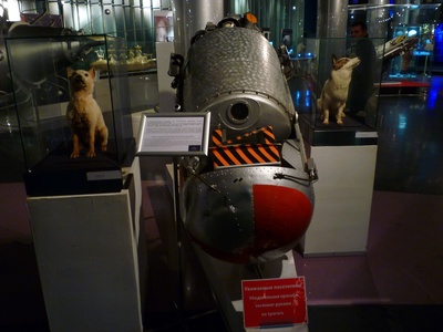 Belka and Strelka