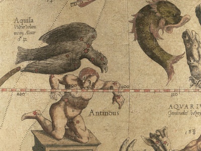 Delphinus