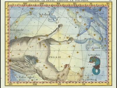 Equuleus