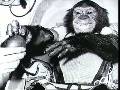 Ham the Chimp