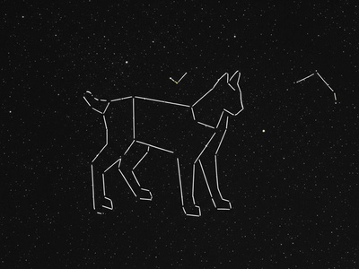 Lynx