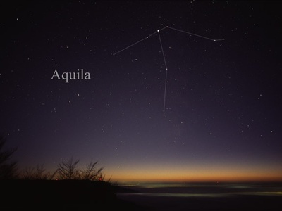 Aquila
