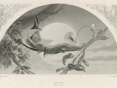 Ariel