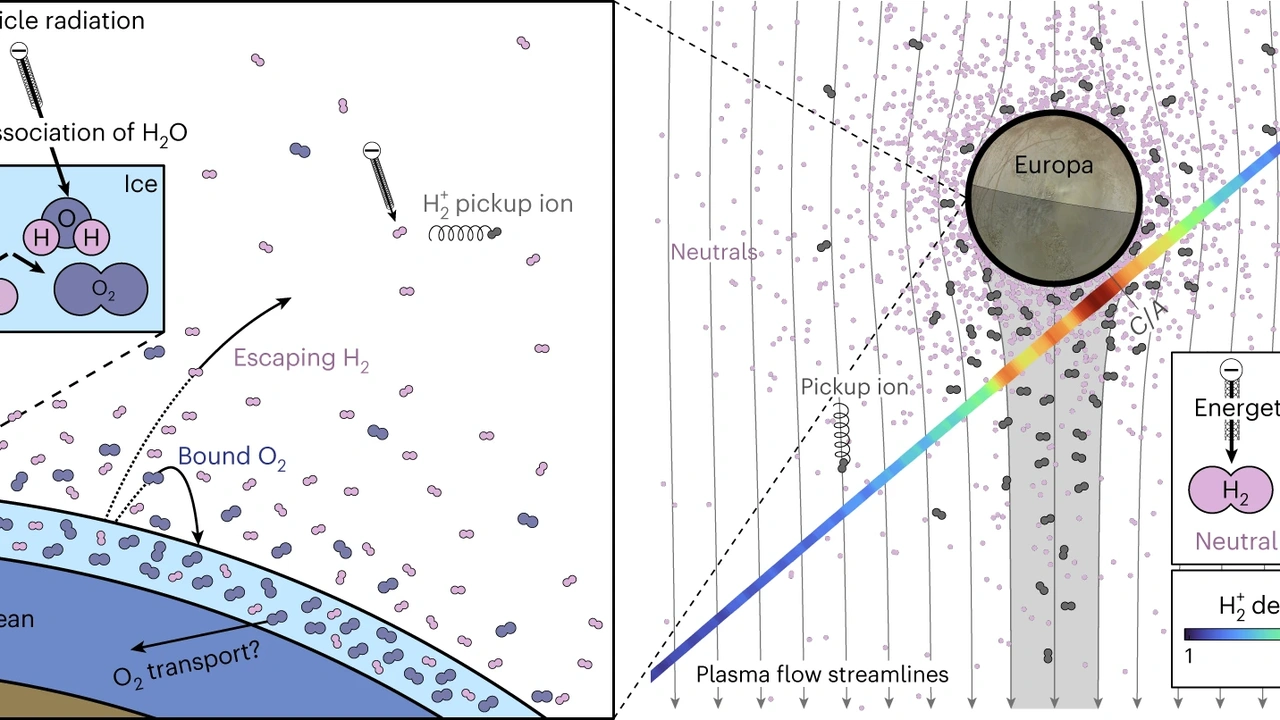 Europa and Enceladus as ocean worlds with plumes