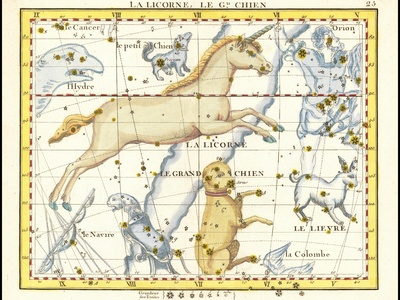 Monoceros