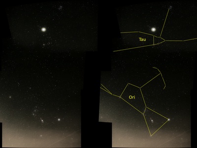 Orion