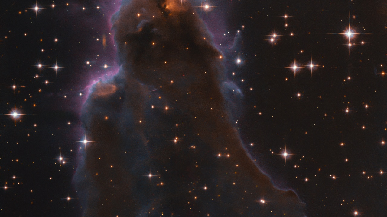 Protostar collapsing in a molecular cloud and nearby protoplanetary disk showing star and planet formation