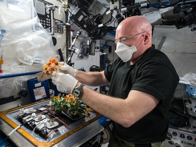 Scott Kelly