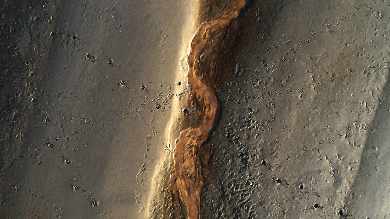 Olympus Mons and Valles Marineris on Mars
