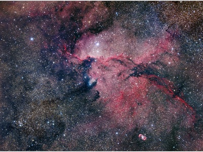 Fighting Dragons of Ara