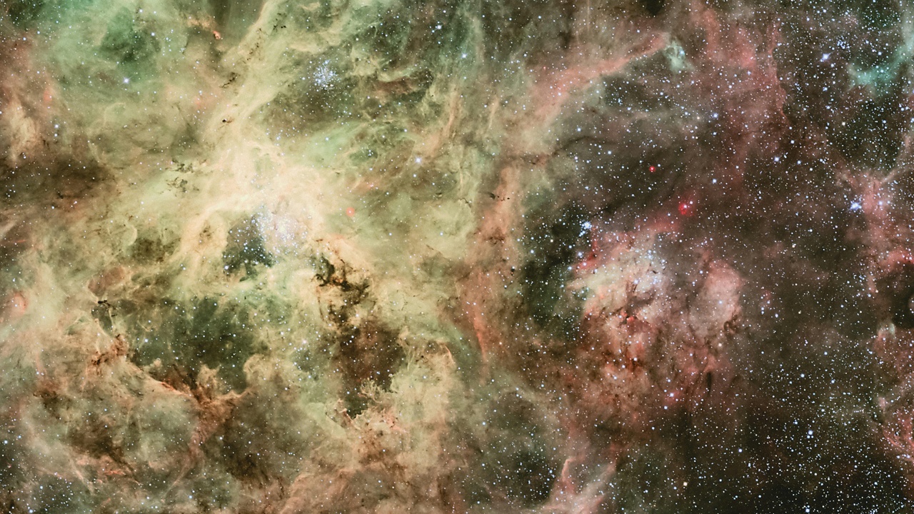 Cluster of massive stars and a stellar explosion